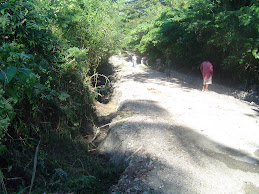 CAMINOS VECINALES