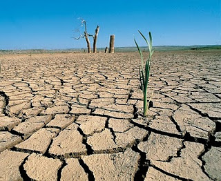 Засуха в Аргентине