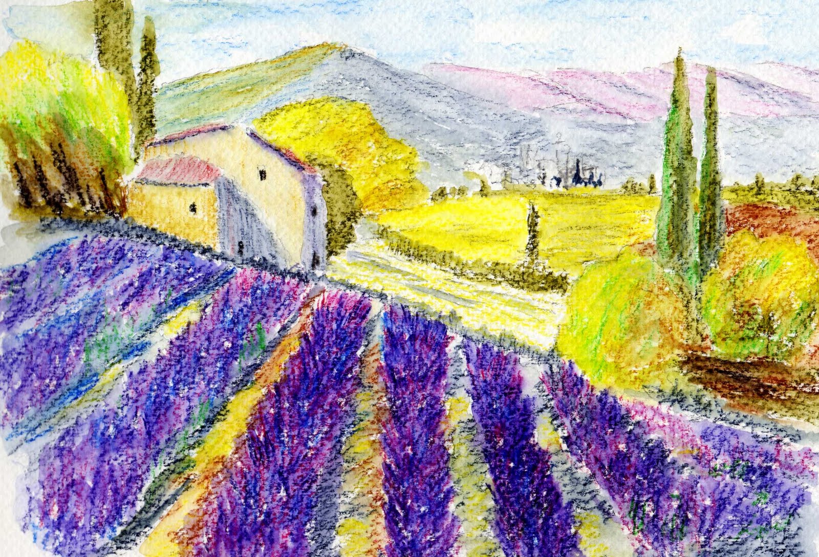 Lavender+Fields.jpg