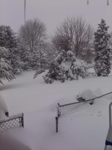 [blizzard2104.jpg]