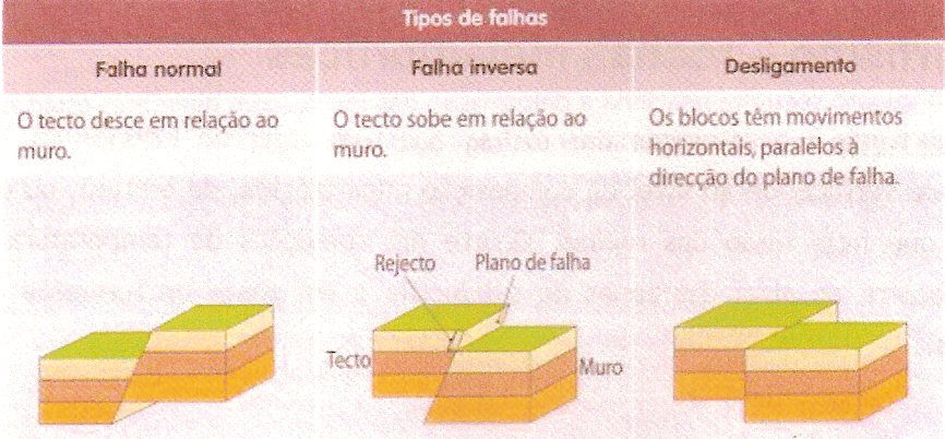 [ScannedImage-12.jpg]