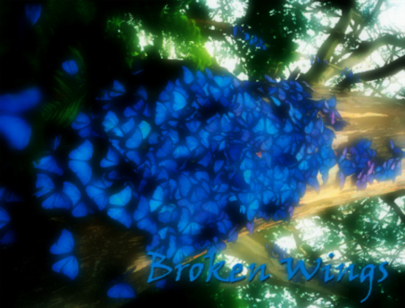 Broken Wings