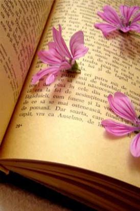 books and flowers
