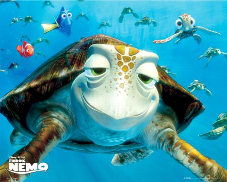 Nemo has now ended up at the dory and nemo. Nemo has now ended up at the