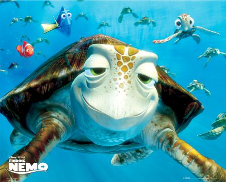 the turtle from finding nemo