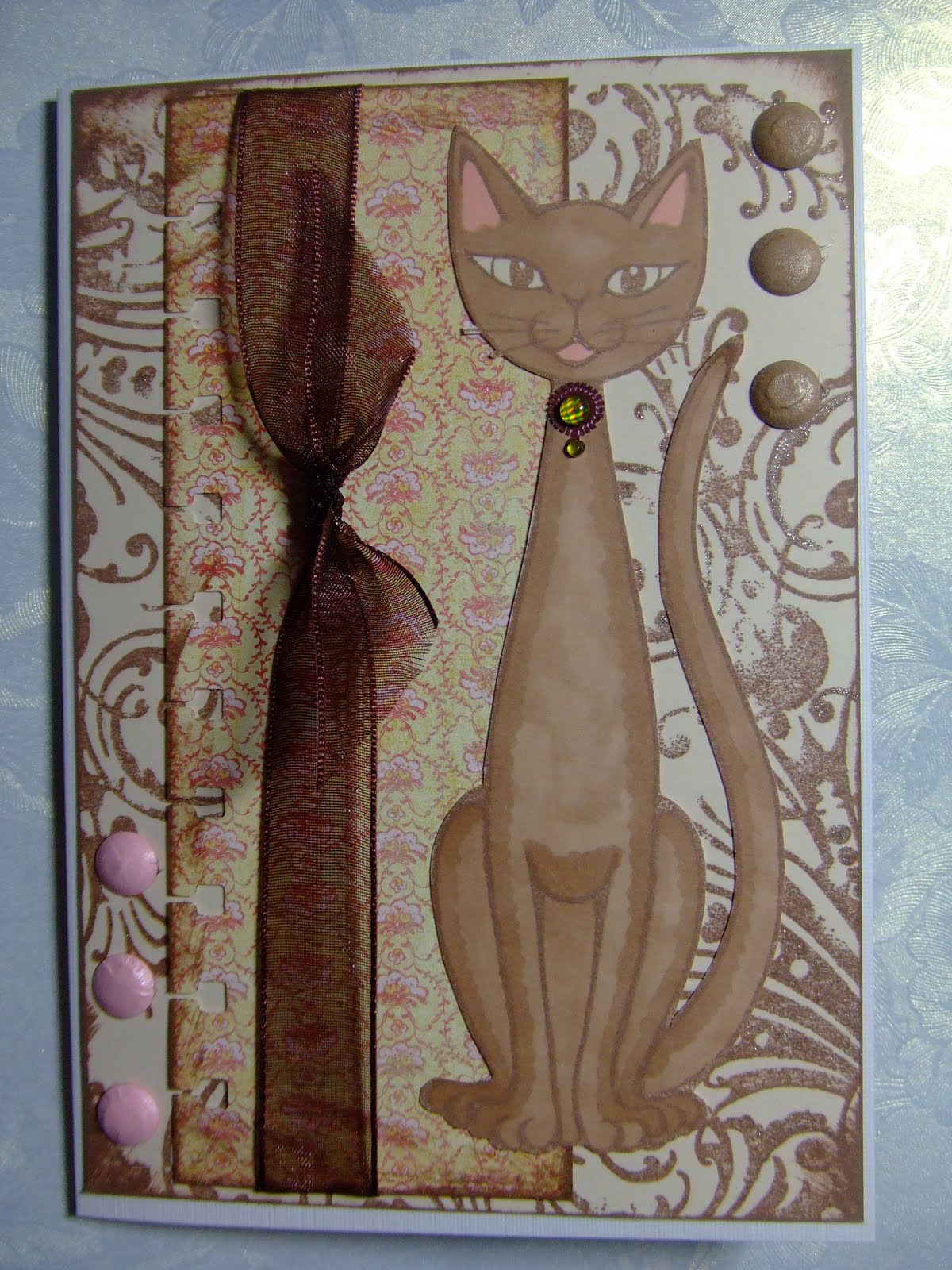 [Fifi+Cool+Cats.JPG]