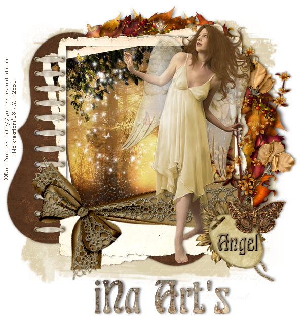 iNa Art\