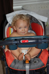 Who's climbed up in Asher's stroller? - 23 Months