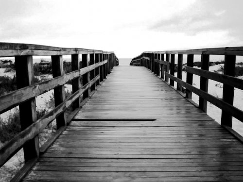 [thiswayfollowmeporvalterelias1.jpg]