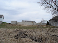 View of our house from the creek