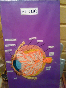 <em>El ojo</em>