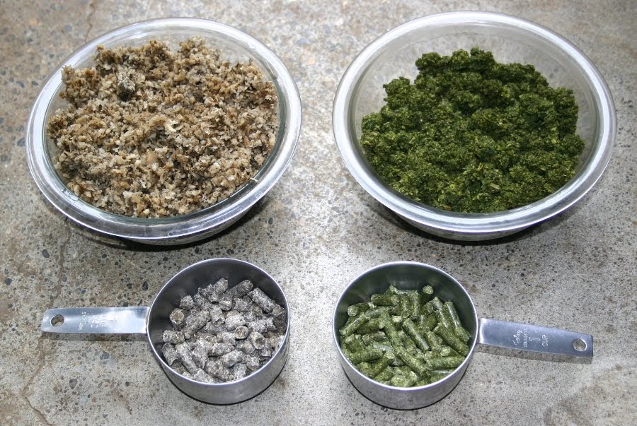 Seedyeggs Using Beet and Alfalfa Pellets