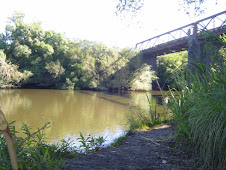 PUENTE NEGRO. PATRIMONIO. MONUMENTO HISTÓRICO NACIONAL