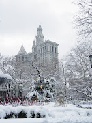 new york central park in winter (new york central park winter)