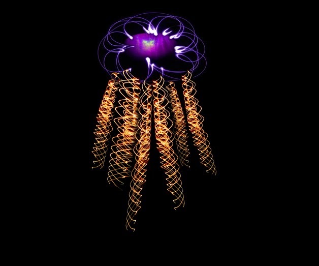 Painting with Light/The Artwork of Terry Long Neon Jellyfish.
