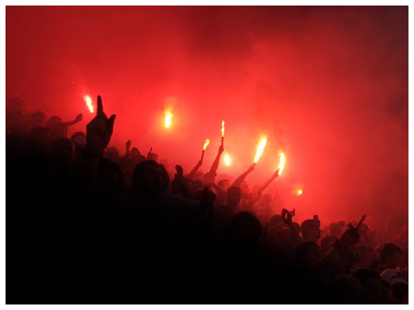 [ödül1.jpg]