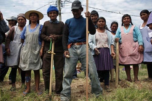 [bolivia3.bmp]