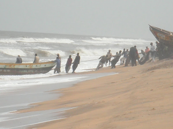 Fishermen at work