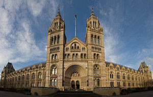 Natural History Museum- Budget Hotels and Accommodations