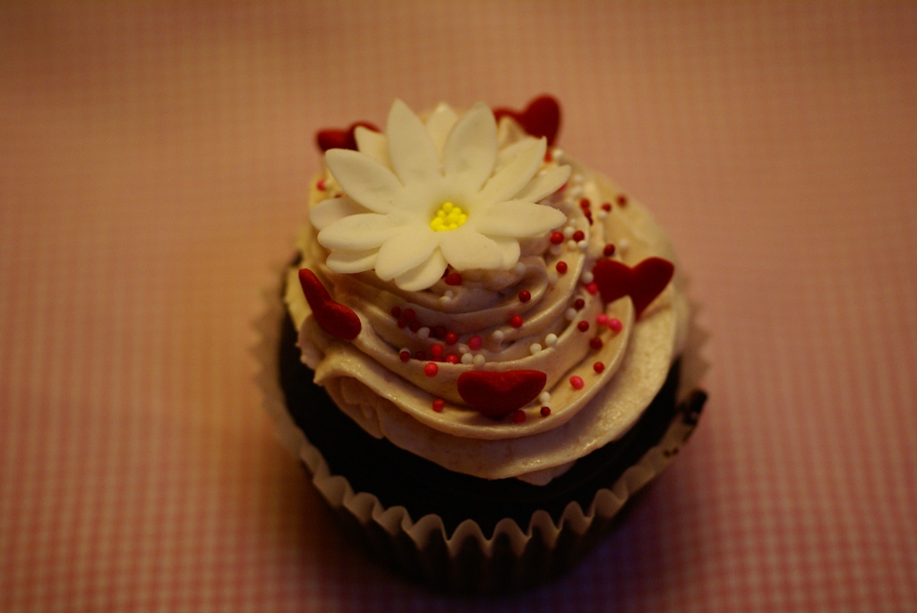 [cupcake+1.JPG]
