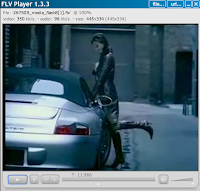 windows 7 FLV Player