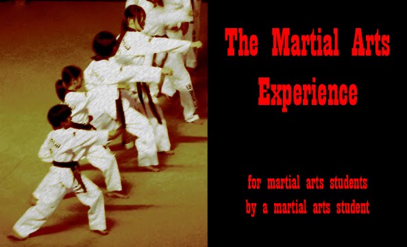 The Martial Arts Experience