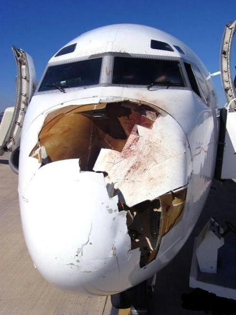 it hit the Twin Towers? twin towers 9 11 plane. it hit the Twin Towers?