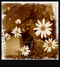 purple daisies by the studio door.