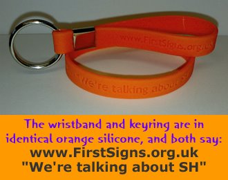 [Wristbandskr.jpg]
