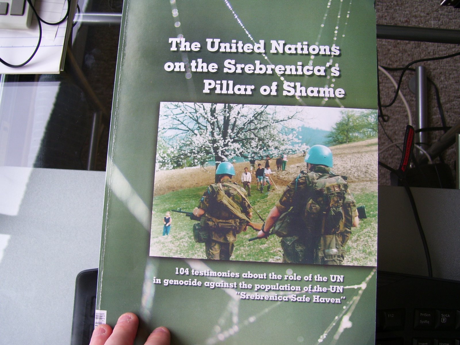 [The+United+Nations+on+the+Srebrenica]