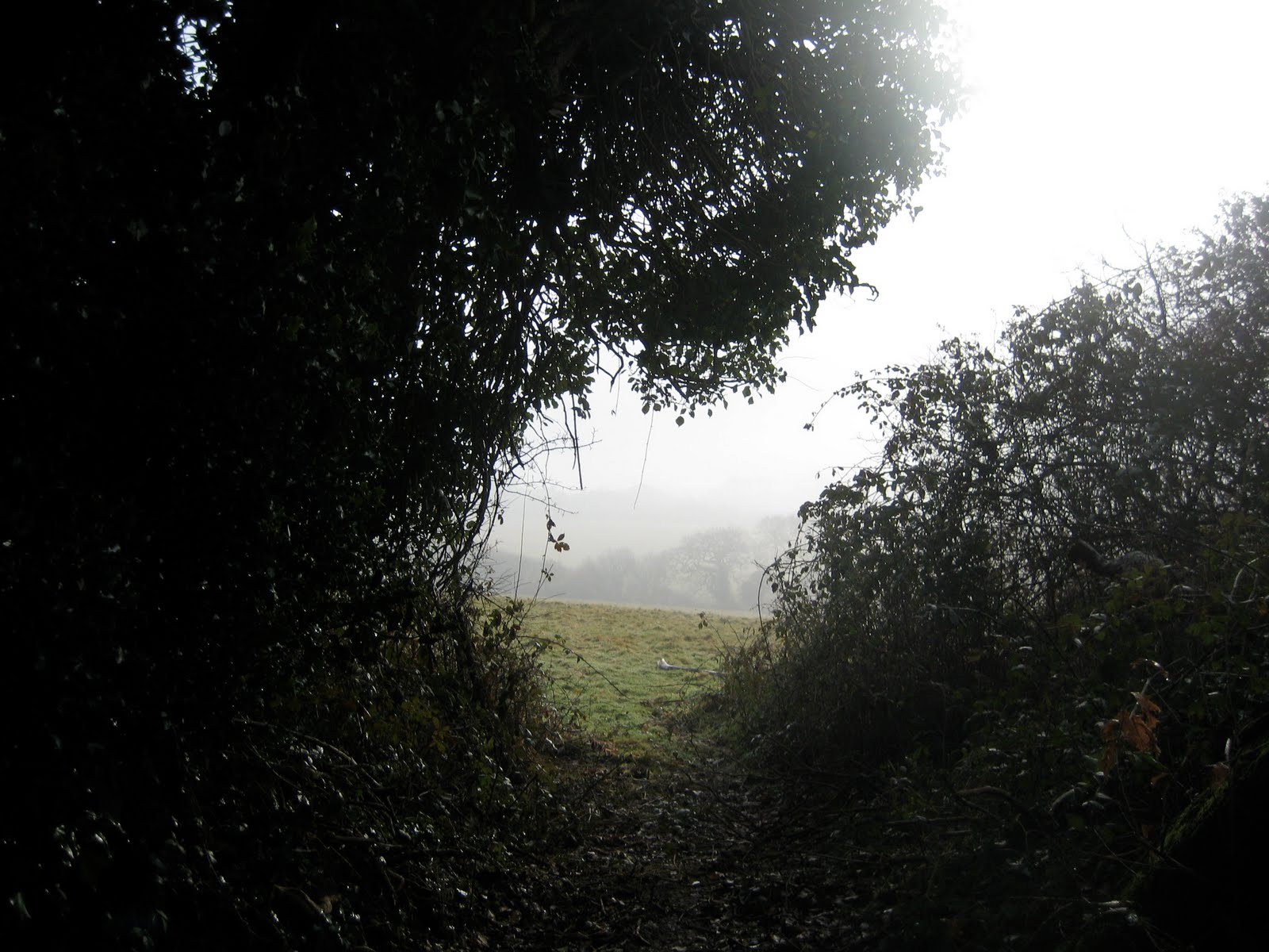 [IMG_6099.JPG]