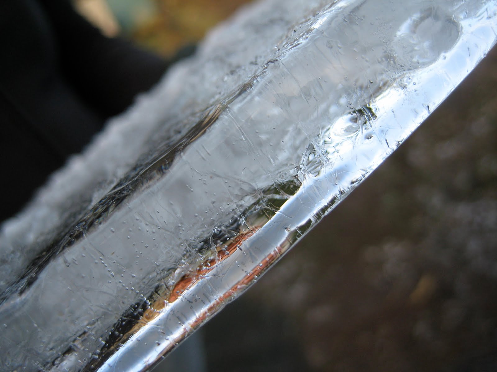 [IMG_6158.JPG]