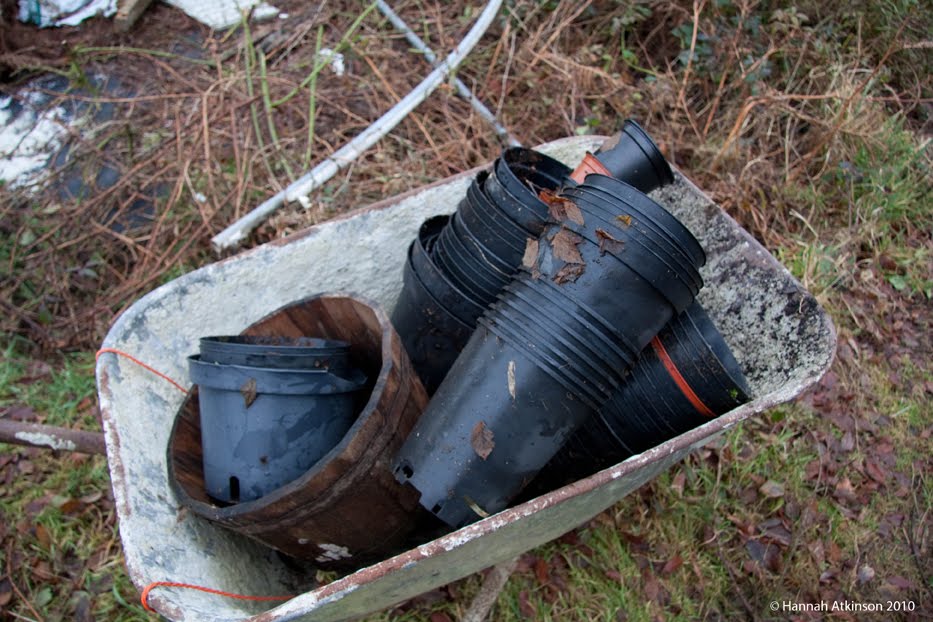 [flowerpots.jpg]