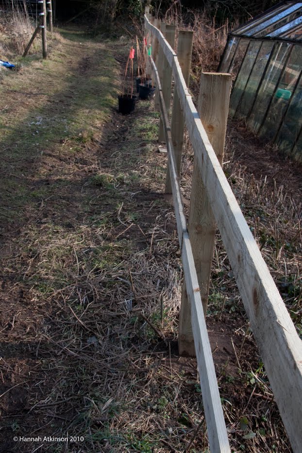 [fence.jpg]