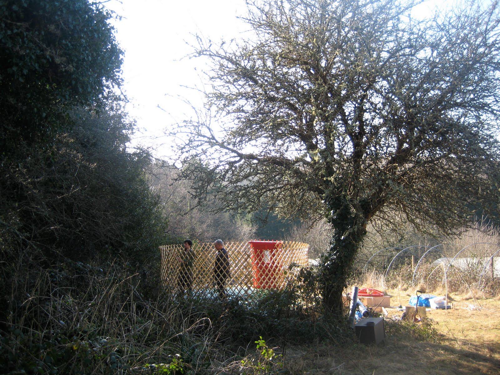 [IMG_6253.JPG]
