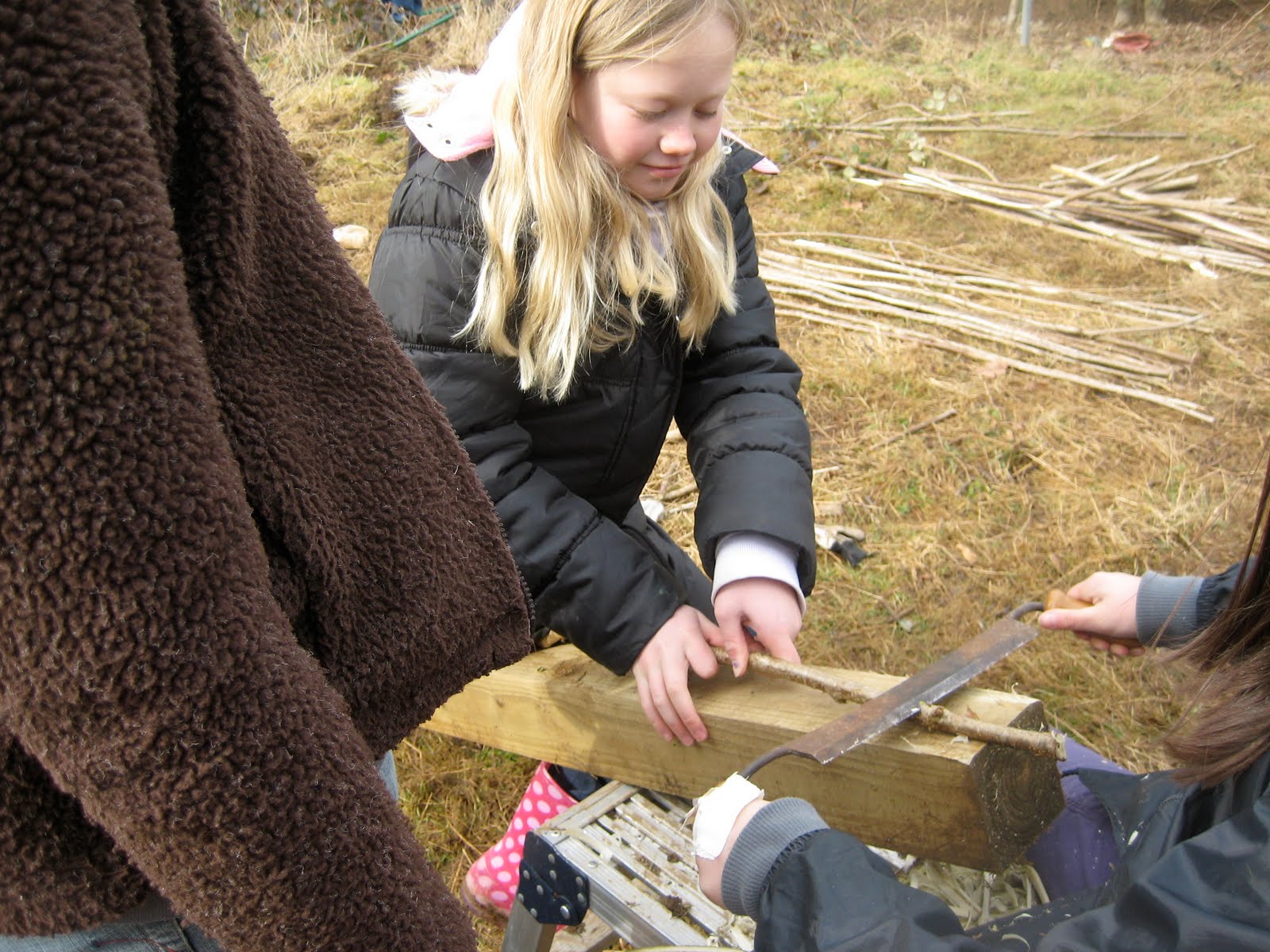 [IMG_6289.JPG]