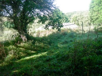 [DSCN9632.jpg]