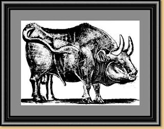 Picasso's bull lithograph 3