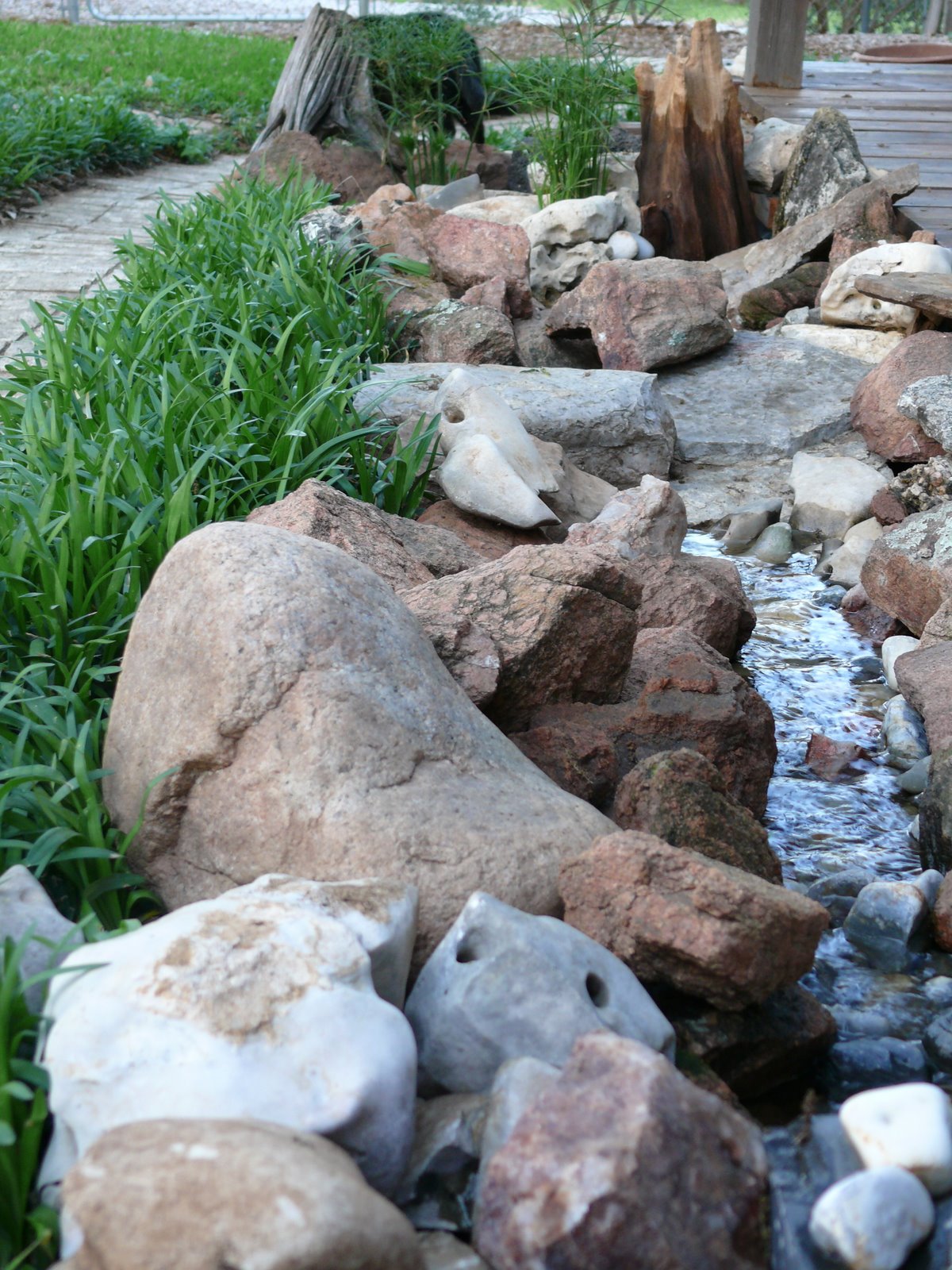 [Looking+Downstream.JPG]