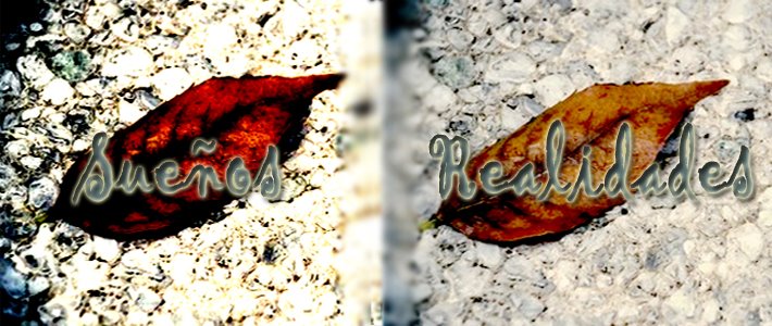 tú puedes convertir tus sueños en realidad tú puedes convertir tus sueños en realidad