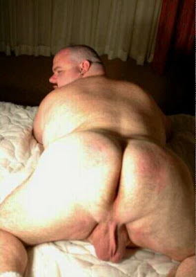 osos ricos para comerlos