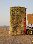 Stacking hay