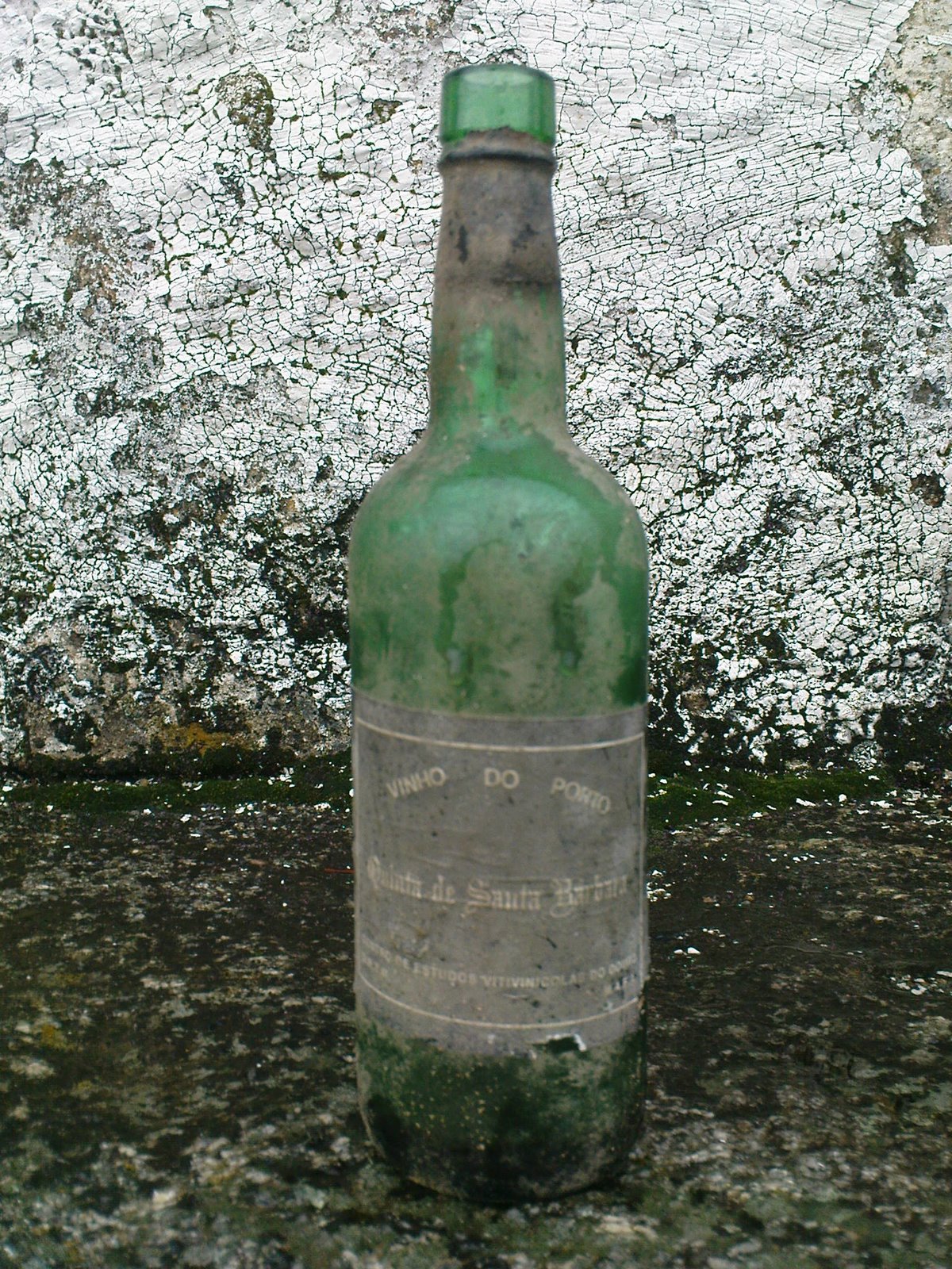 [DSC00028.JPG]