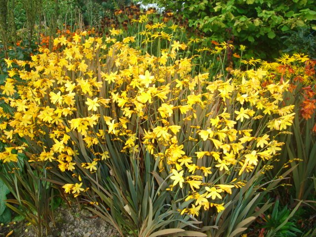 [DSC00597.JPG]