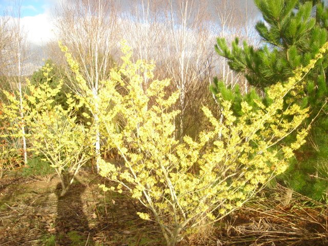 [DSC00723.JPG]