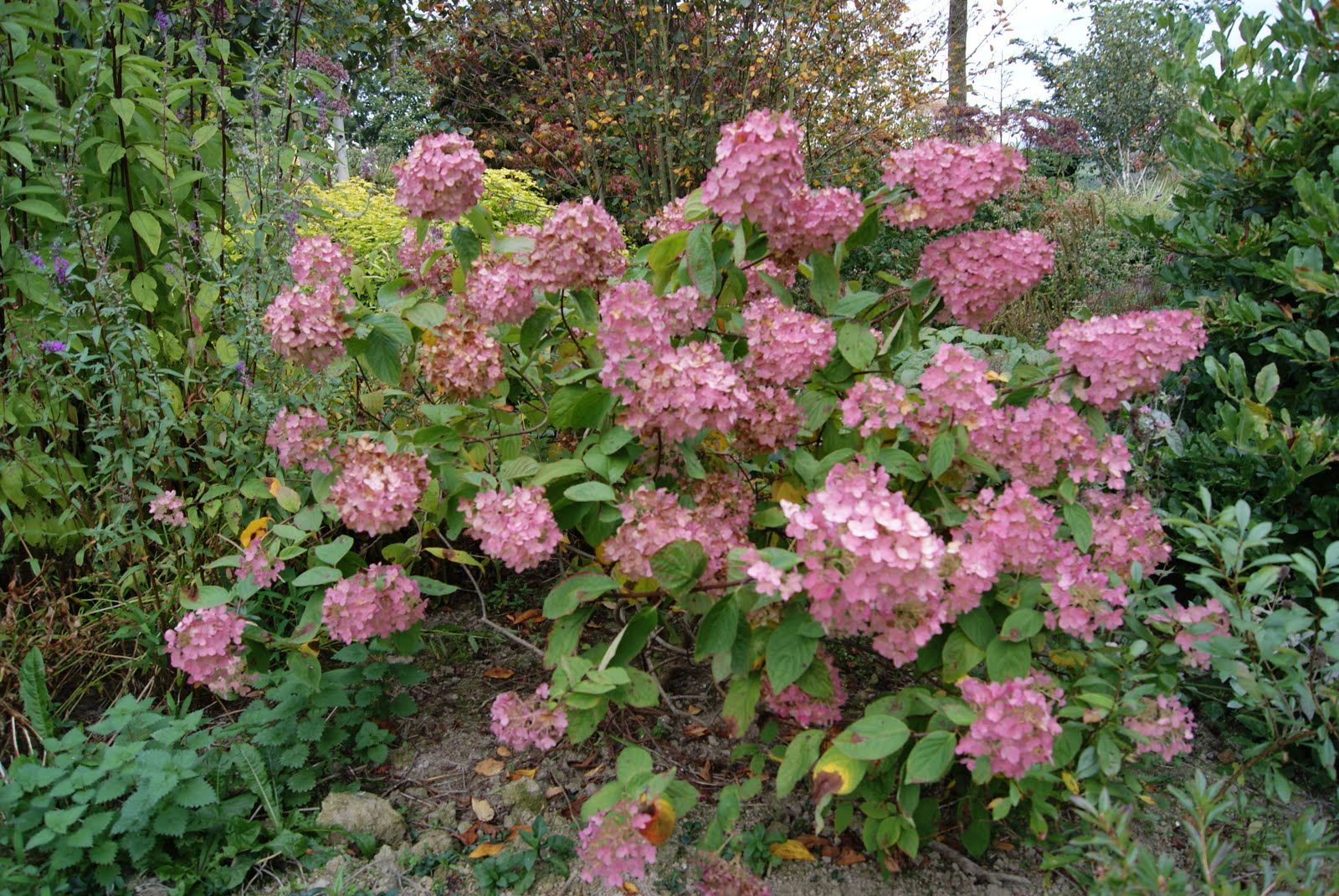 [DSC00015.JPG]