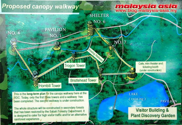 Canopy Walk Rainforest Discovery Centre