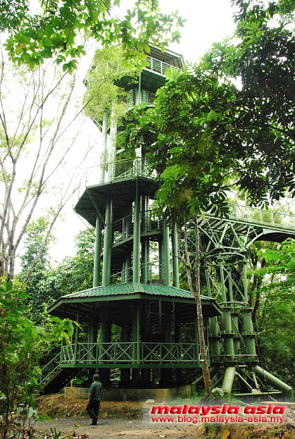 Canopy Walk Tower at RDC