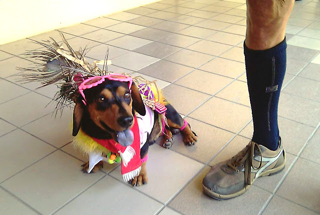 Sabah Harvest Festival Dog