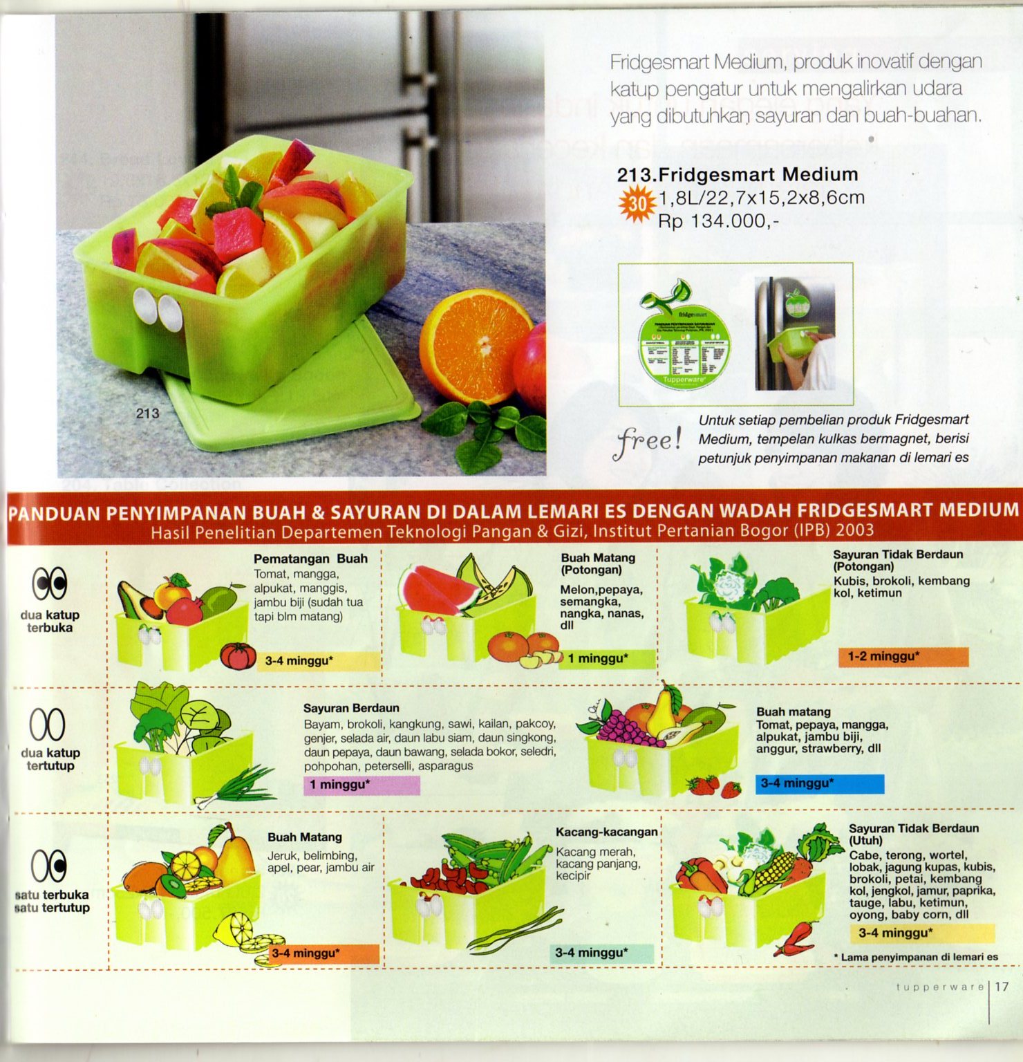 Gunma Tupperware Fridgesmart Medium